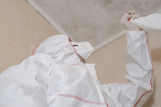 Biohazard Mold Removal in Naranja, FL